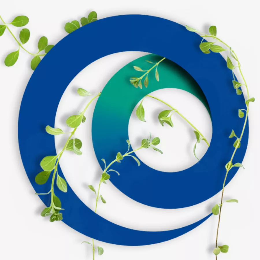 The Chloride logo wrapped in leaves